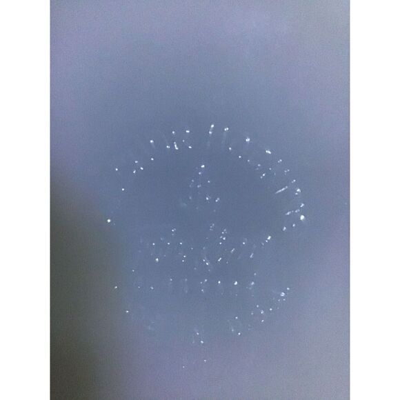 Vintage Fire King/Anchor Hocking - 'Gay Fads' - 1 Pint Casserole - Picture 3 of 3